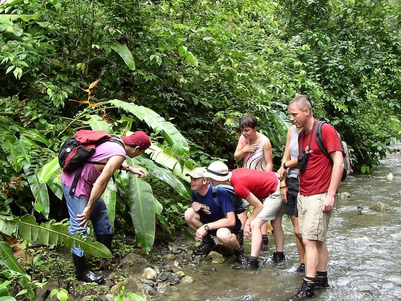 Corcovado Nationalpark - Hiking