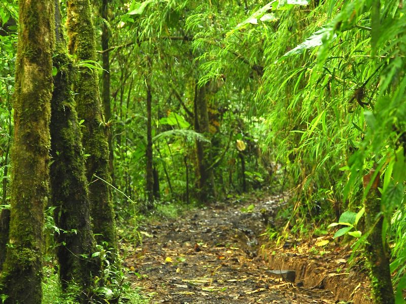 Costa Rica Mietwagenreise für die ganze Familie