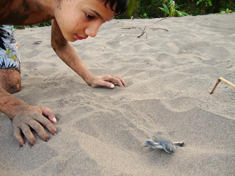 Spannende Tortuguero Tour